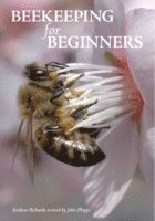 bokomslag Beekeeping for Beginners