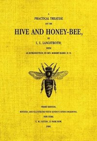 bokomslag Hive and the Honey-Bee