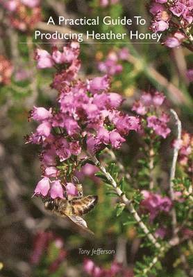 bokomslag A Practical Guide To Producing Heather Honey