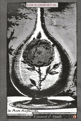 bokomslag Love Immortal