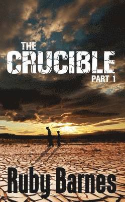 Crucible