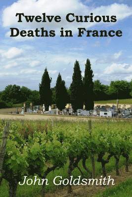 bokomslag Twelve Curious Deaths in France