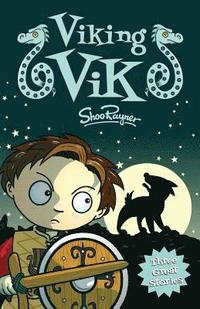 bokomslag Viking Vik