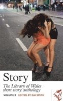 bokomslag Short Story Anthology