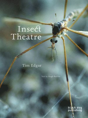 Hugh Raffles, Tim Edgar - Insect Theatre, Häftad