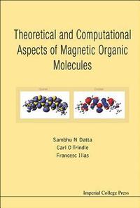 bokomslag Theoretical And Computational Aspects Of Magnetic Organic Molecules