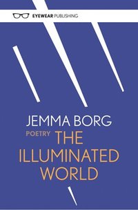 bokomslag Illuminated World