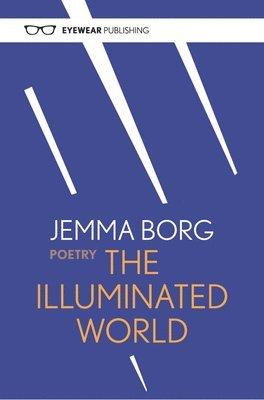 bokomslag The Illuminated World