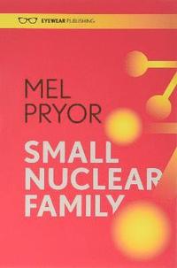 bokomslag Small Nuclear Family