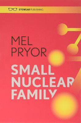 bokomslag Small Nuclear Family