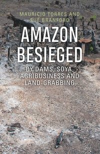 bokomslag Amazon Besieged
