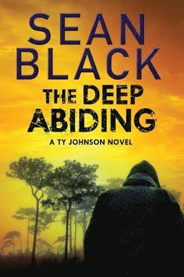 bokomslag Deep Abiding