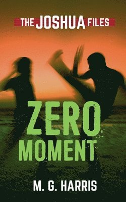 Zero Moment 1