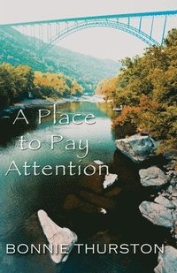 bokomslag A Place to Pay Attention