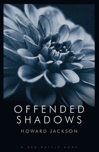 bokomslag Offended Shadows