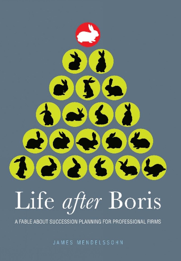 James Mendelssohn - Life after Boris, Häftad