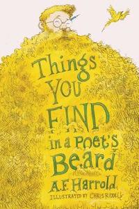 bokomslag Things You Find in a Poet's Beard