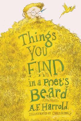 bokomslag Things You Find in a Poet's Beard