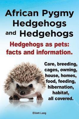 African Pygmy Hedgehogs and Hedgehogs. Hedgehogs as Pets 1