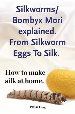 Silkworm/Bombyx Mori explained. From Silkworm Eggs To Silk. How to make silk at home. Raising silkworms, the mulberry silkworm, bombyx mori, where to buy silkworms all included. 1