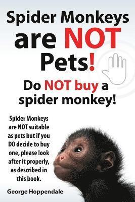 Spider Monkeys Are Not Pets! Do Not Buy a Spider Monkey! Spider Monkeys Are Not Suitable as Pets But If You Do Decide to Buy One, Please Look After It 1