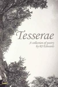 bokomslag Tesserae