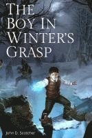 bokomslag The Boy in Winter's Grasp