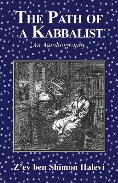 bokomslag The Path of a Kabbalist