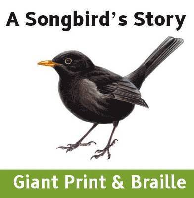 Songbird's Story
