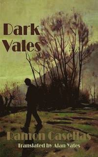 bokomslag Dark Vales