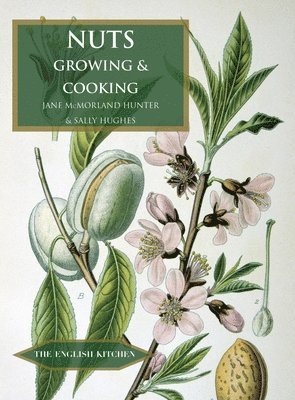 Jane McMorland-Hunter, Sally Hughes - Nuts, Häftad