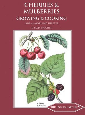 Jane McMorland-Hunter, Sally Hughes, Jane McMorland Hunter - Cherries & Mulberries, Häftad