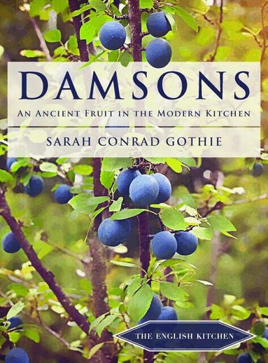 Dr Sarah Conrad Gothie - Damsons, Häftad