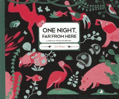 One Night Far From Here