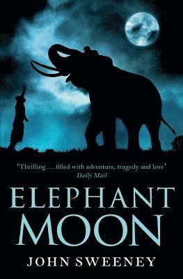 bokomslag Elephant Moon