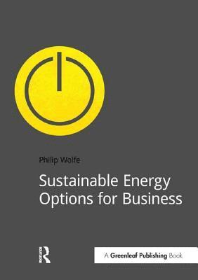 bokomslag Sustainable Energy Options for Business