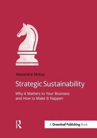 bokomslag Strategic Sustainability