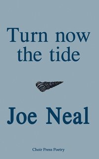bokomslag Turn Now the Tide