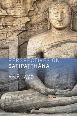 bokomslag Perspectives on Satipatthana