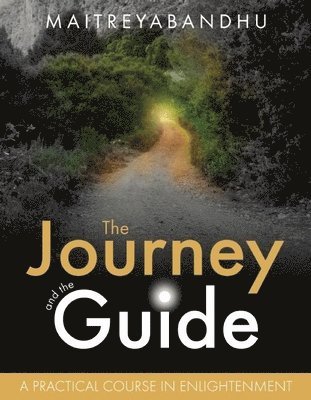 bokomslag Journey and the Guide