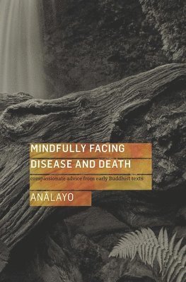 bokomslag Mindfully Facing Disease and Death