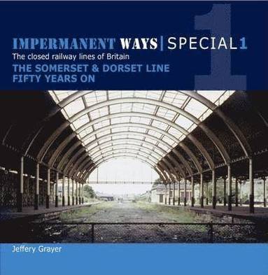 bokomslag Impermanent Ways Special 1