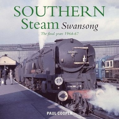 bokomslag Southern Steam Swansong