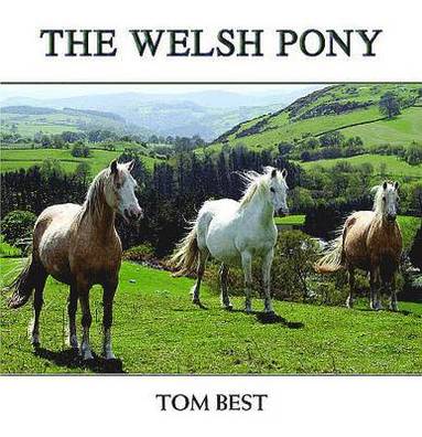 bokomslag The History of the Welsh Pony