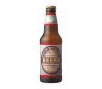 bokomslag World Bottled Beers