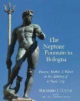 bokomslag Neptune Fountain in Bologna