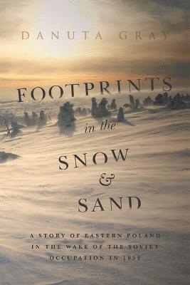 Danuta Gray - Footprints in the Snow and Sand, Häftad