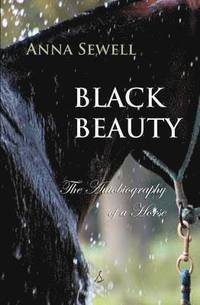 bokomslag Black Beauty: The Autobiography of a Horse