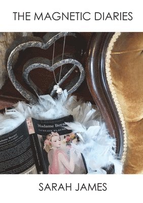 Sarah James - Magnetic Diaries, Häftad
