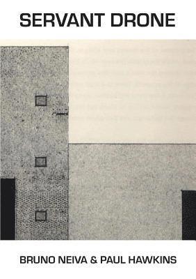 Bruno Neiva, Paul Hawkins - Servant Drone, Häftad